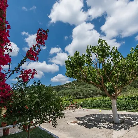 Pansion Porto Tsi Ostrias Aparthotel